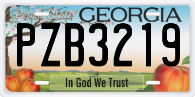 GA license plate PZB3219