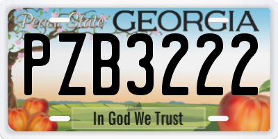 GA license plate PZB3222