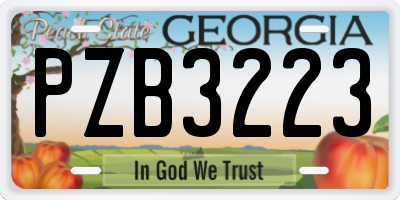 GA license plate PZB3223