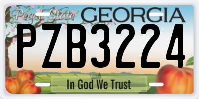 GA license plate PZB3224