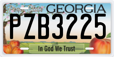 GA license plate PZB3225