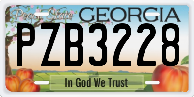 GA license plate PZB3228