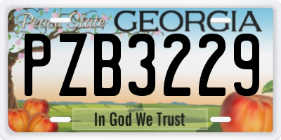 GA license plate PZB3229