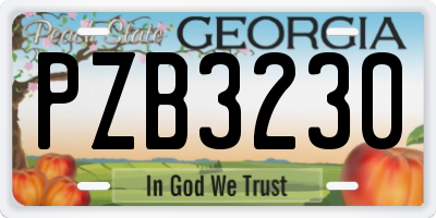 GA license plate PZB3230