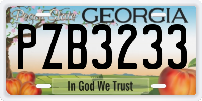 GA license plate PZB3233