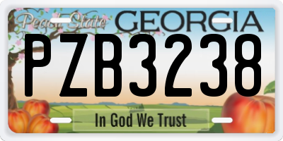 GA license plate PZB3238