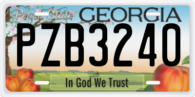 GA license plate PZB3240