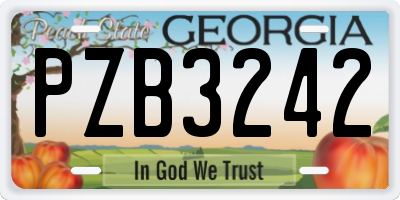 GA license plate PZB3242