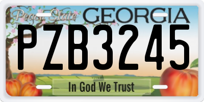 GA license plate PZB3245