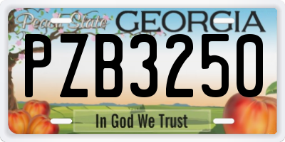 GA license plate PZB3250