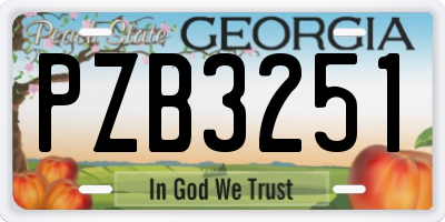 GA license plate PZB3251
