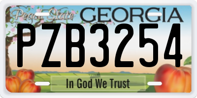 GA license plate PZB3254