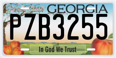 GA license plate PZB3255