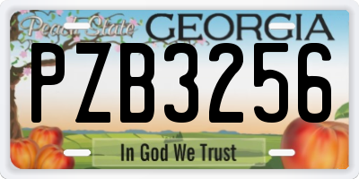 GA license plate PZB3256