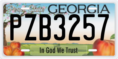 GA license plate PZB3257