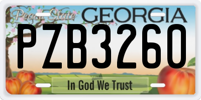 GA license plate PZB3260