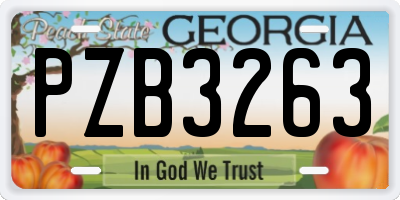 GA license plate PZB3263