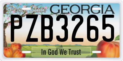 GA license plate PZB3265