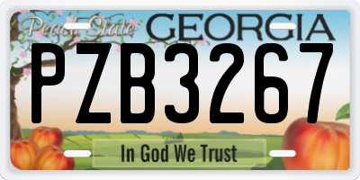 GA license plate PZB3267