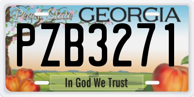 GA license plate PZB3271