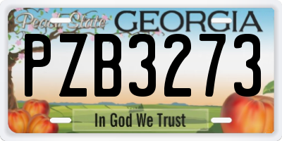 GA license plate PZB3273