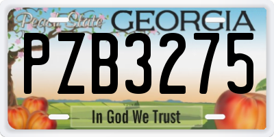 GA license plate PZB3275