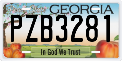 GA license plate PZB3281