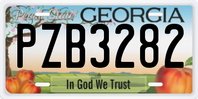 GA license plate PZB3282