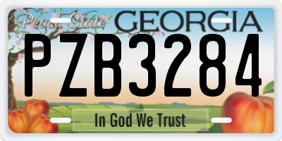 GA license plate PZB3284