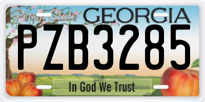 GA license plate PZB3285