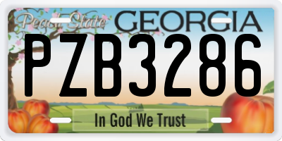 GA license plate PZB3286