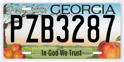 GA license plate PZB3287