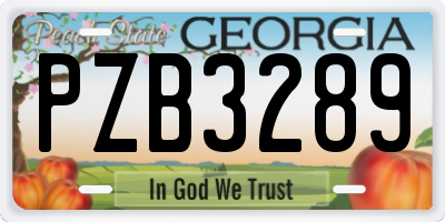 GA license plate PZB3289