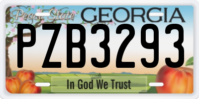 GA license plate PZB3293