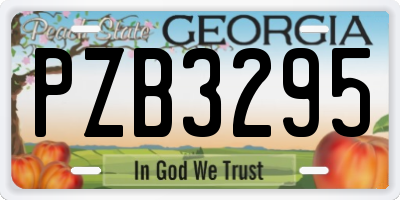 GA license plate PZB3295