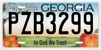 GA license plate PZB3299