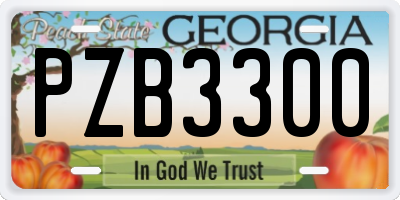 GA license plate PZB3300
