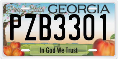 GA license plate PZB3301