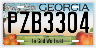 GA license plate PZB3304