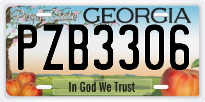 GA license plate PZB3306