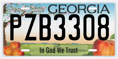 GA license plate PZB3308