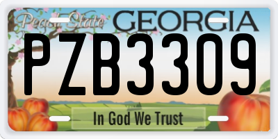 GA license plate PZB3309