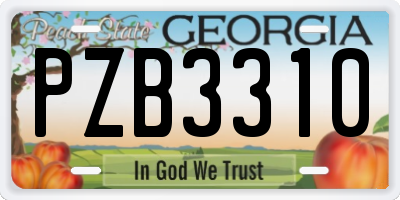 GA license plate PZB3310