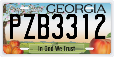 GA license plate PZB3312