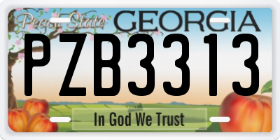 GA license plate PZB3313