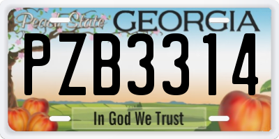 GA license plate PZB3314