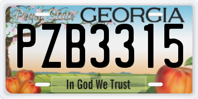 GA license plate PZB3315