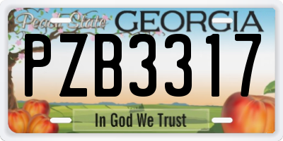 GA license plate PZB3317