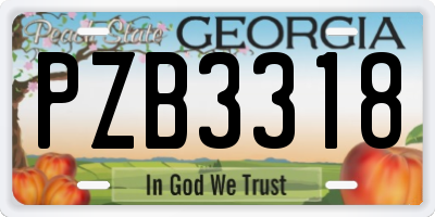 GA license plate PZB3318