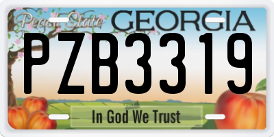 GA license plate PZB3319